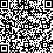 大头儿子2乐园酷跑