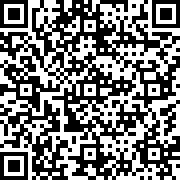 空闲城市建设者