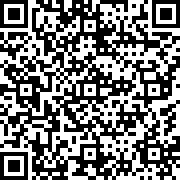 街头帮派格斗(Street Knockout: 1vsGang Fight)