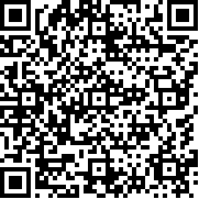 疯狂机场2(汉化版全解锁)