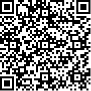 飞行模拟器3D真实版