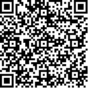 飞行模拟器3D(无限金币版)