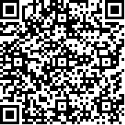 小偷生活模拟器(汉化版)