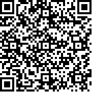 飞机模拟大师(破解版)