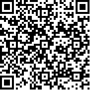 索尼克大乱斗(Sonic Rumble安装器)