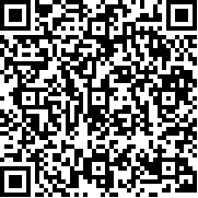 轻松飞行模拟器