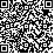 专业大盗模拟器