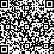 守望先锋像素版(破解版)