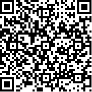 小小车手大冒险