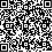 机场安全员(Airport Security安装器)