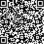 迷你突击(Tiny Fire Squad)