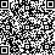 二战战争模拟器(中文破解版)