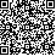 极限汽车平衡器