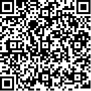 乐高幻影忍者(乐高?幻影忍者?：罗宁的阴影)