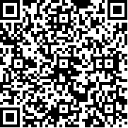 像素火影次世代(鹰佐版)