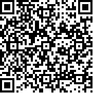 汽车驾驶模拟挑战