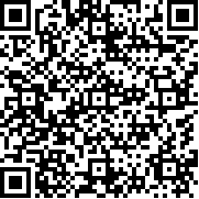 电脑公司模拟器(无限研究点)