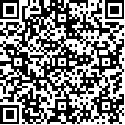 节奏蜂巢(Rhythm Hive安装器)