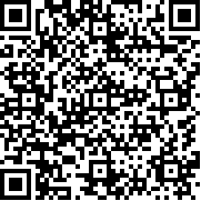 锤子勇者(Hammer)