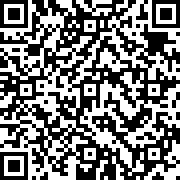 小小部队指挥官