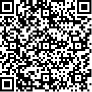 斯拉夫帮派(内置作弊菜单)(Slavic gangster style)