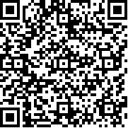 团战经理(手机汉化版最新版本)