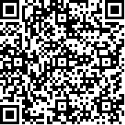 三角符文冰冻之心汉化版(Deltarune)