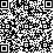 暴走小兵大乱斗