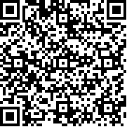 开放都市自由冒险