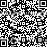 赛车限制(Racing Limits)