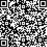 猪猪侠飞机大战