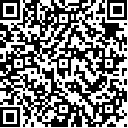 地狱乐乐园之战国服(パラバト安装器)