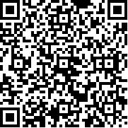 双子迷途(双子迷途2)