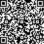 神奇宝贝锆石(口袋妖怪 孤夜凉风 X版)