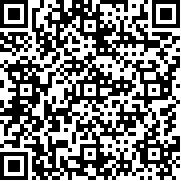 世界足球冠军(汉化版)