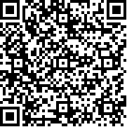 手工业王国中文版