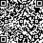 不一样积木对战