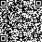 布鲁伊寻找金笔的冒险