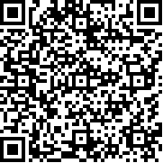 我的世界雾中人