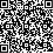 极品飞车17(手机版)